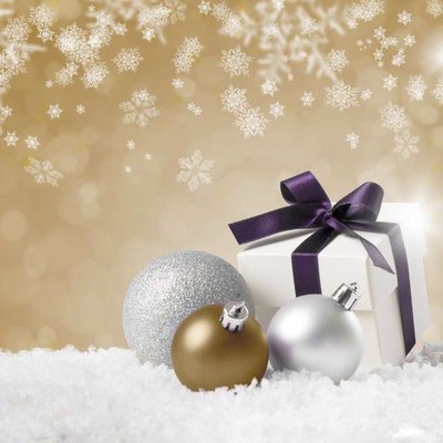Dankbaar voor 2024 en Samen naar 2025! 🎅🍾